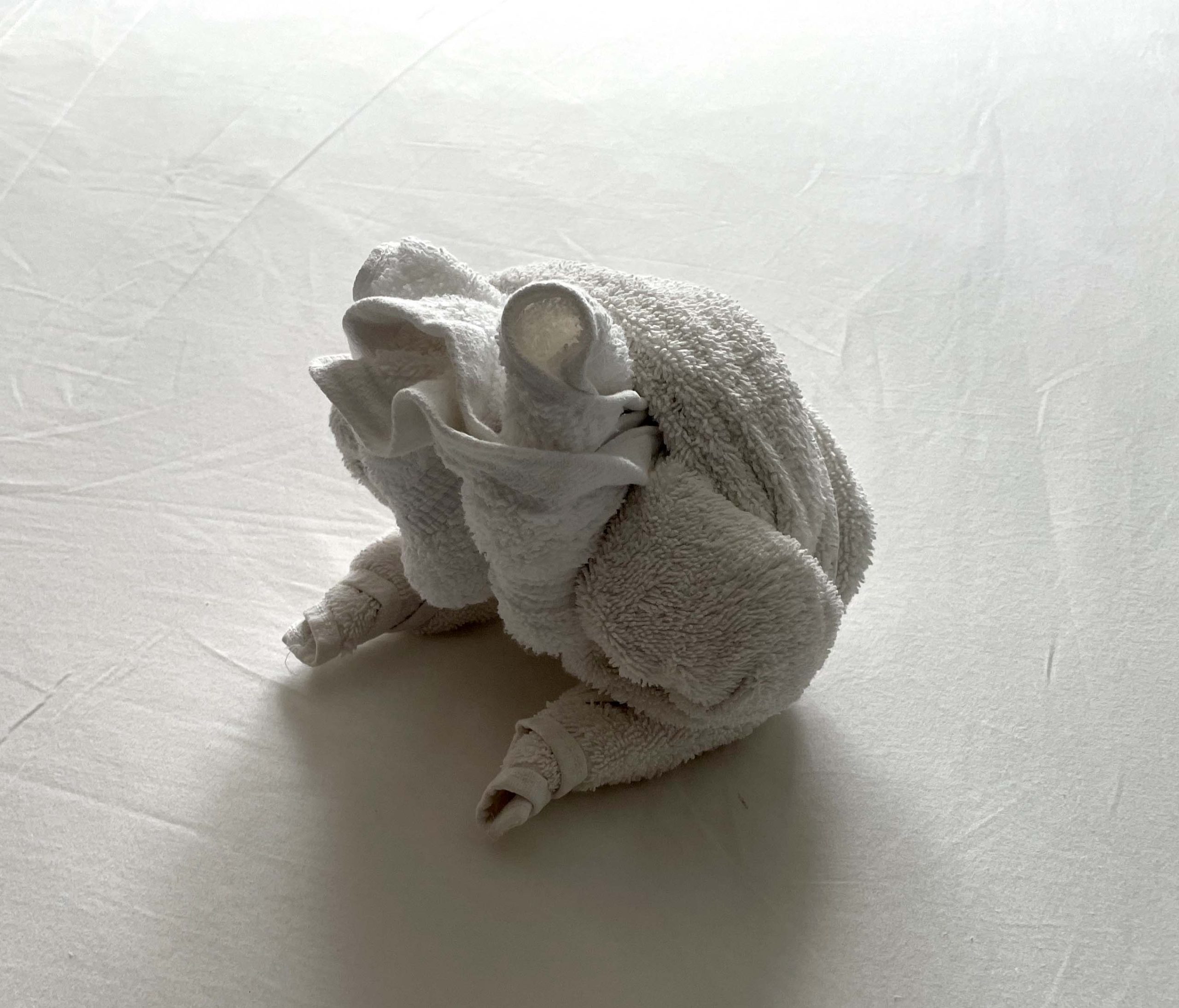 Towel art